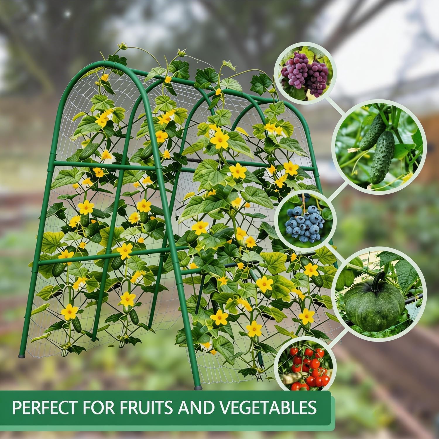 4x5.3FT Garden Arch Trellis fo - Plants X review and price
