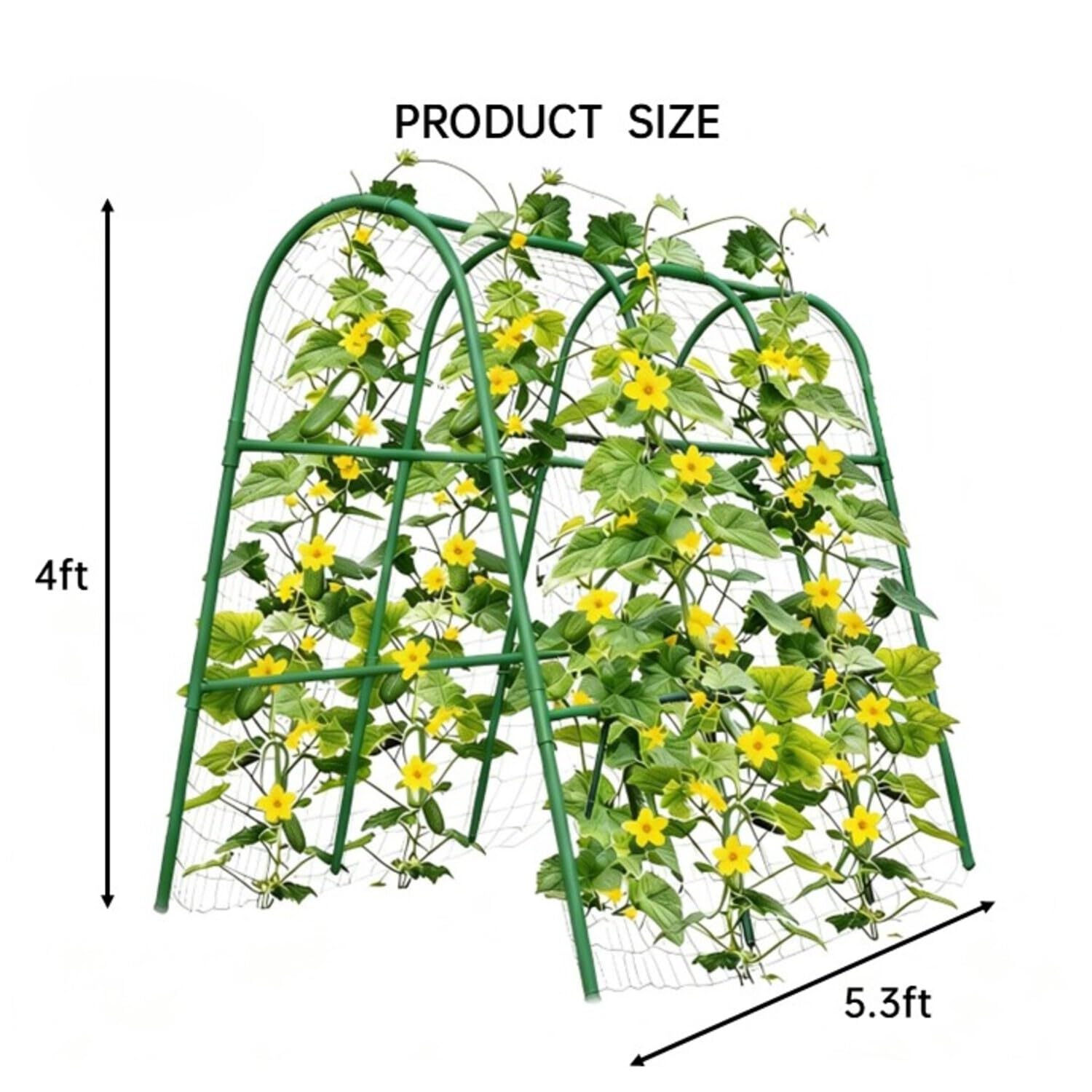 4x5.3FT Garden Arch Trellis fo - Plants X review and price