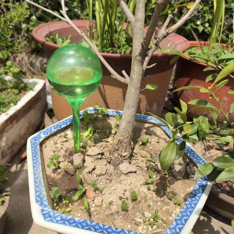 6PCS Indoor Plants Self Wateri - Plant Parent Kit review and price