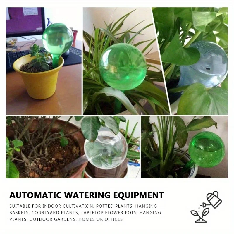 6PCS Indoor Plants Self Wateri - Plant Parent Kit review and price