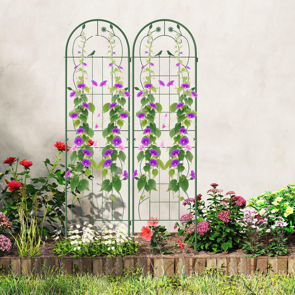 4 Pack 71 X 20 Inches Metal Ga - Plants X review and price