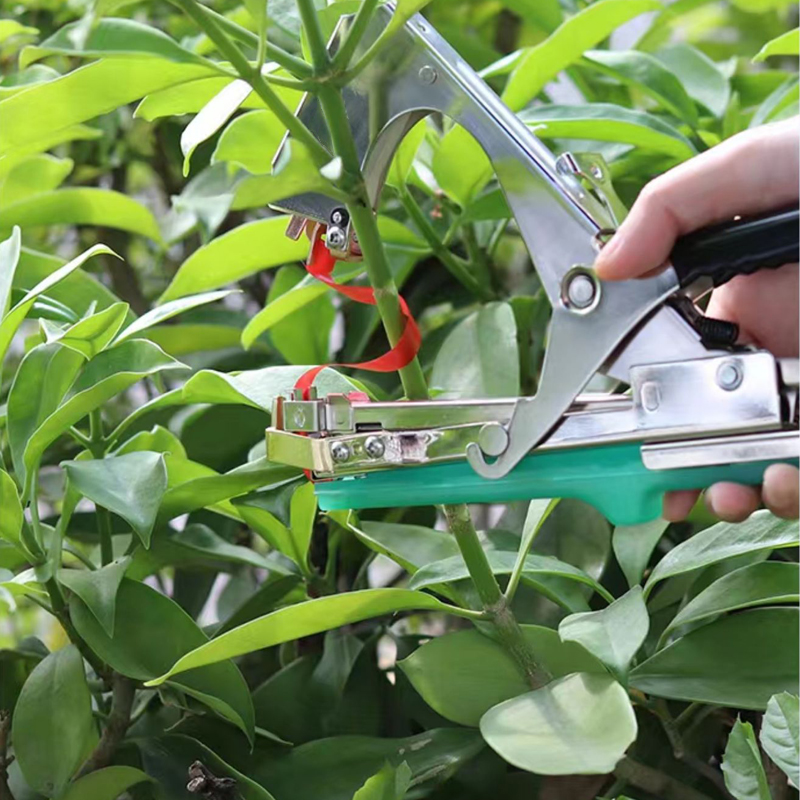 Garden Plants Branch Hand Tyin - Plant Parent Kit review and price