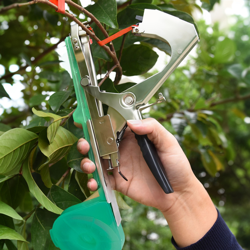 Garden Plants Branch Hand Tyin - Plant Parent Kit review and price