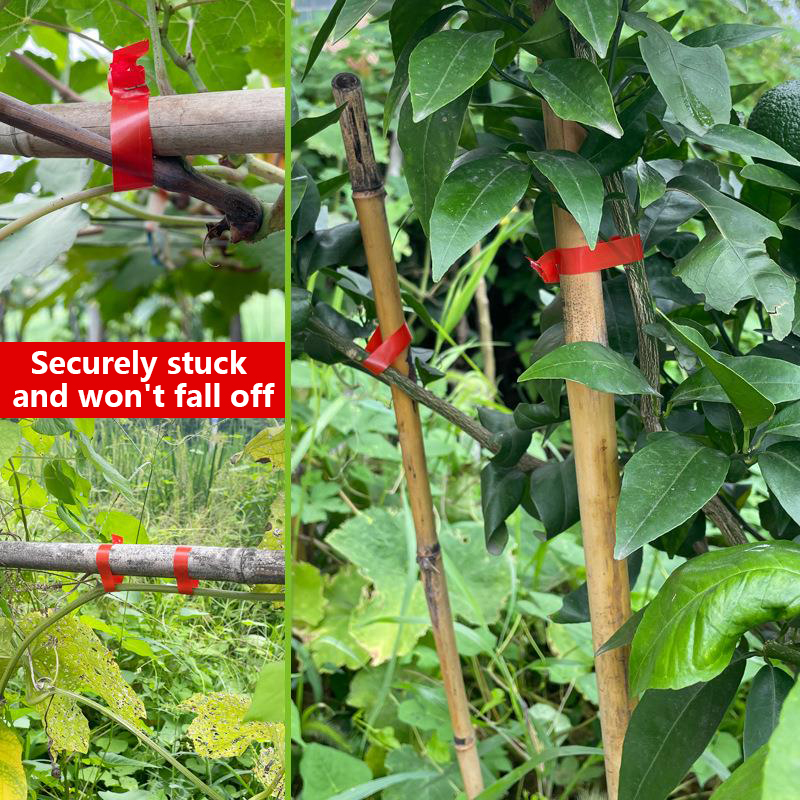 Garden Plants Branch Hand Tyin - Plant Parent Kit review and price