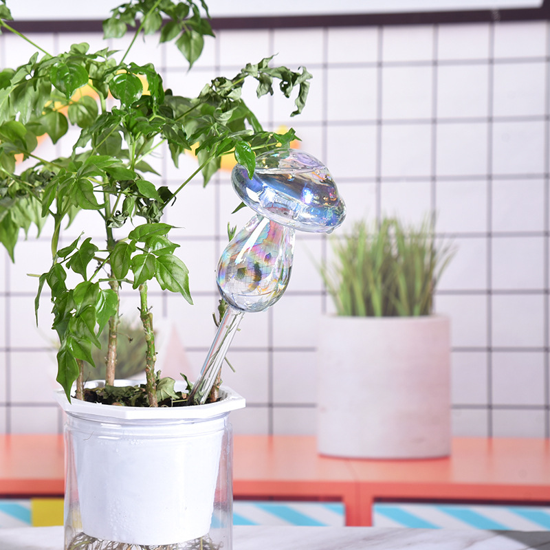 1/2PCS Glass Straw Automatic P - Plant Parent Kit review and price