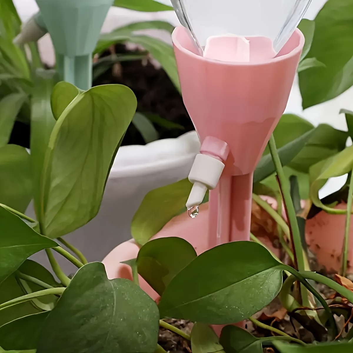 10PCS Automatic Plant Drip Irr - Plant Parent Kit review and price