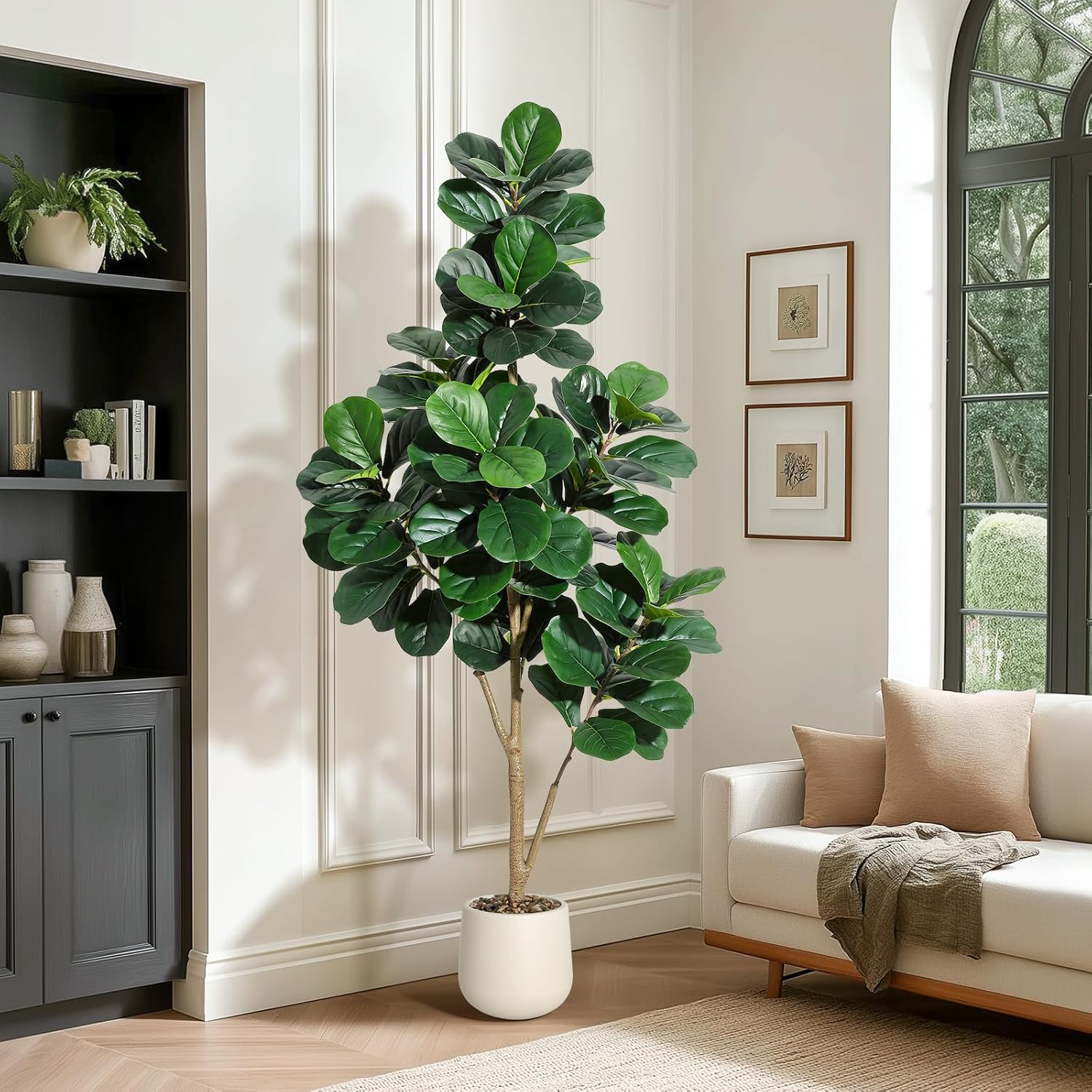 4-7 FT Fiddle Leaf Fig Tree Ar - Fiddle Leaf Fig review and price