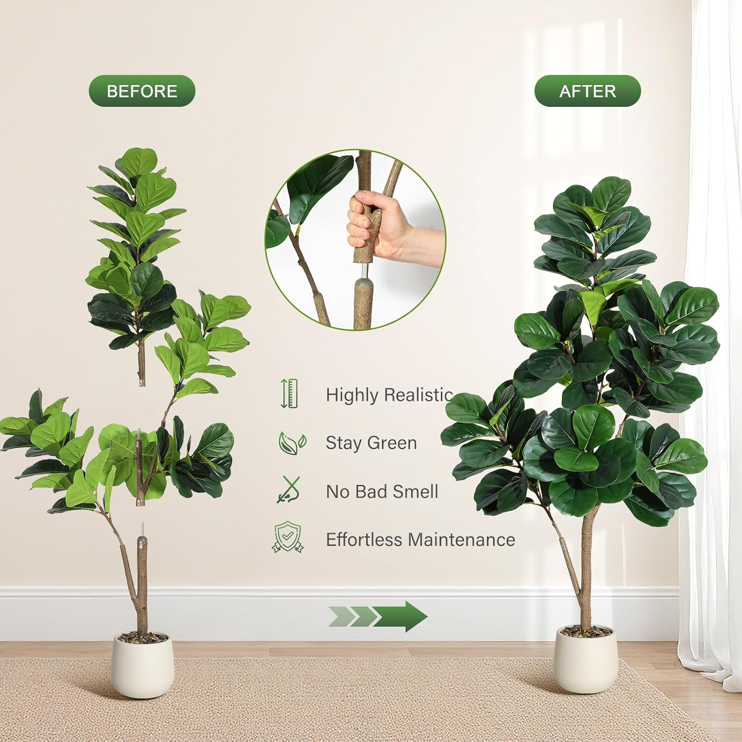 4-7 FT Fiddle Leaf Fig Tree Ar - Fiddle Leaf Fig review and price