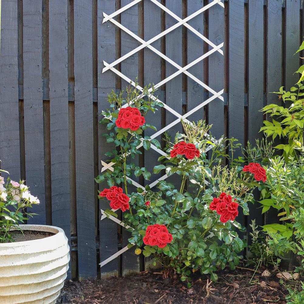 Expandable Garden Trellis 70 x - Plants X review and price