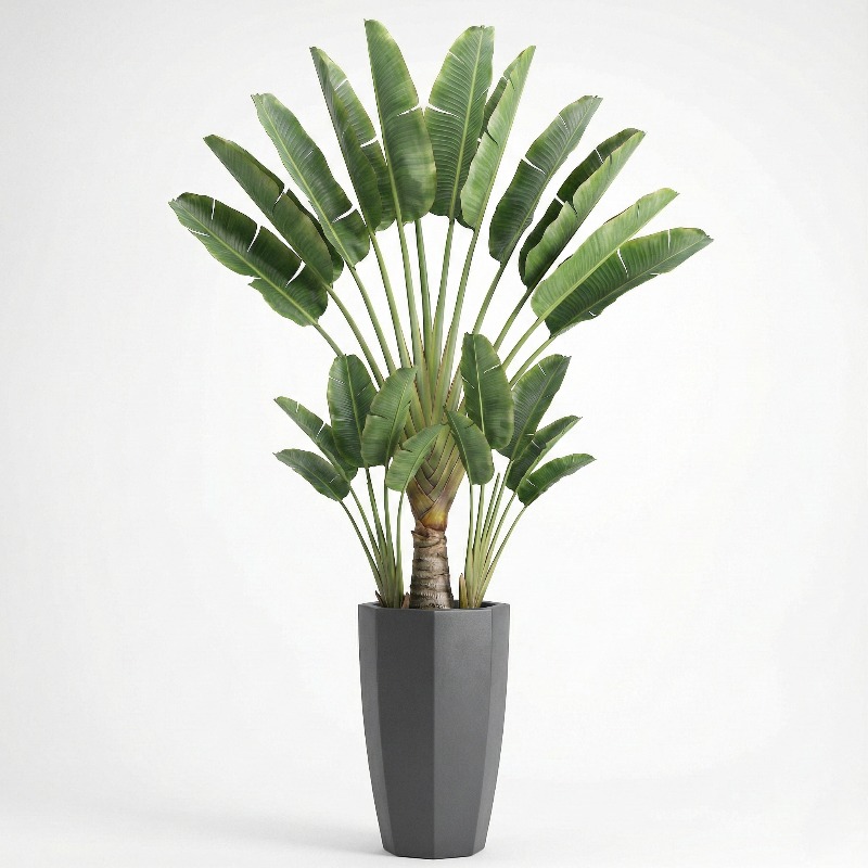 High-Simulation Plastic Fiddle - Fiddle Leaf Fig review and price