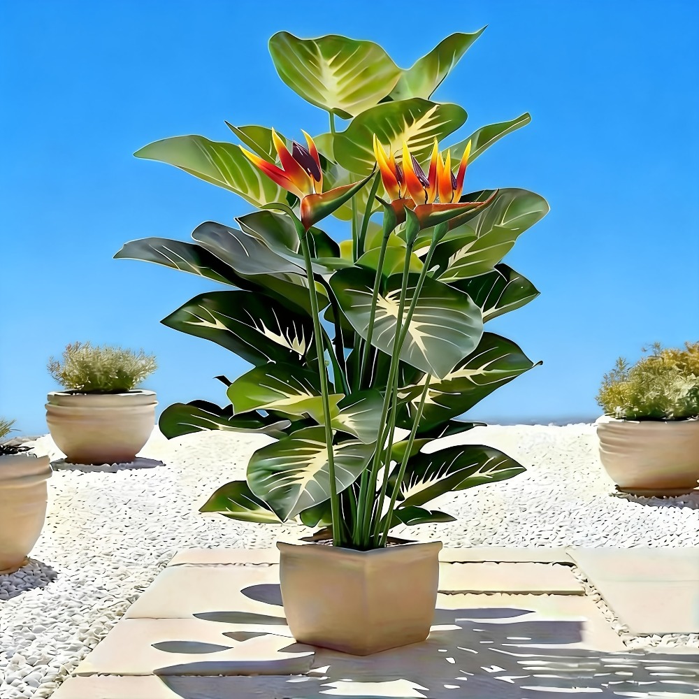 Artificial Bird of Paradise an - Fiddle Leaf Fig review and price