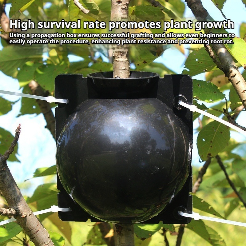 10pcs Plant Propagation Kit: H - Plant Parent Kit review and price