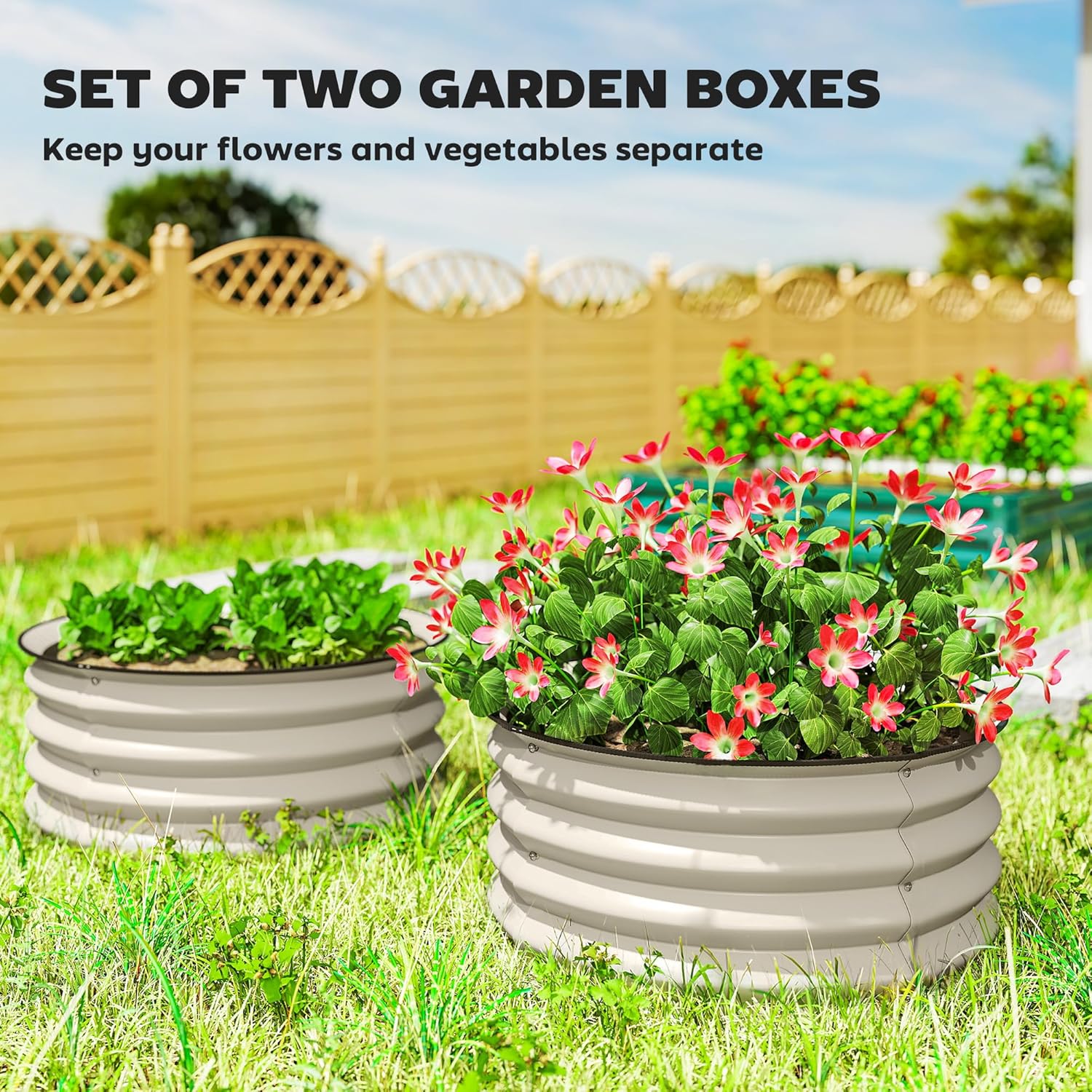 Galvanized Raised Garden Bed S - Plants X review and price