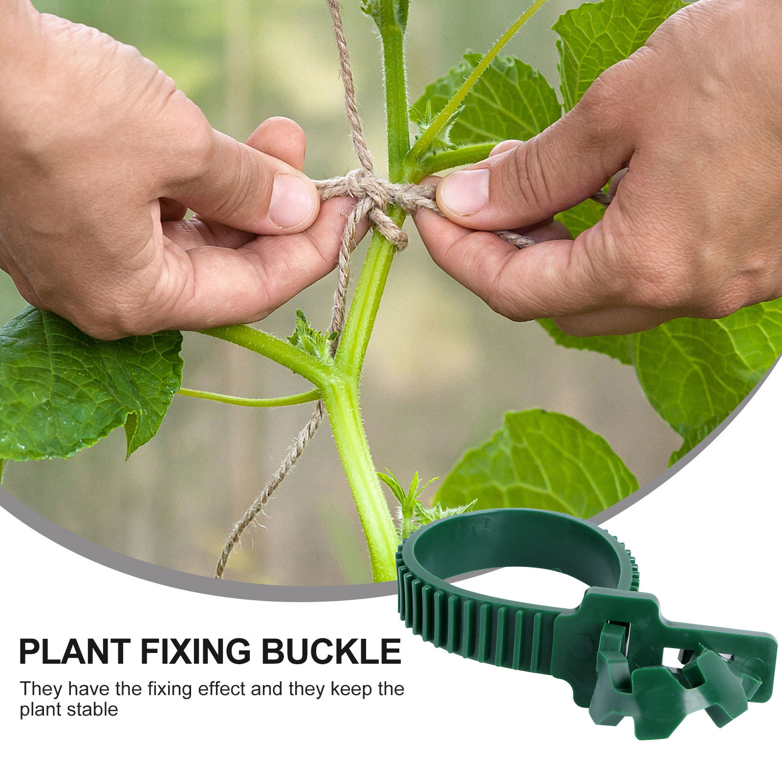 20Pcs Vine Fixing Buckle Garde - Plants X review and price