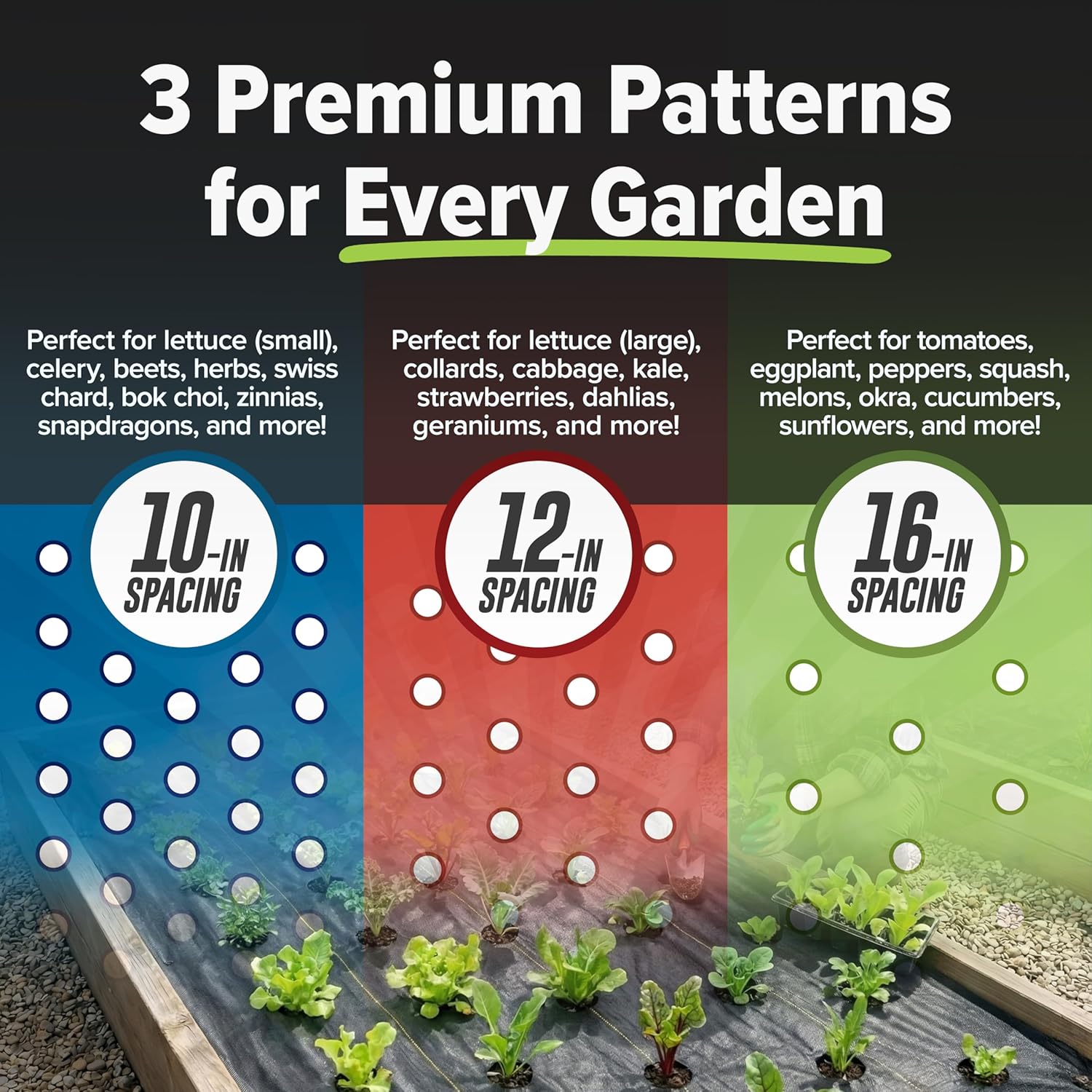 Quick-Plant   , Garden Weed Ba - Plants X review and price