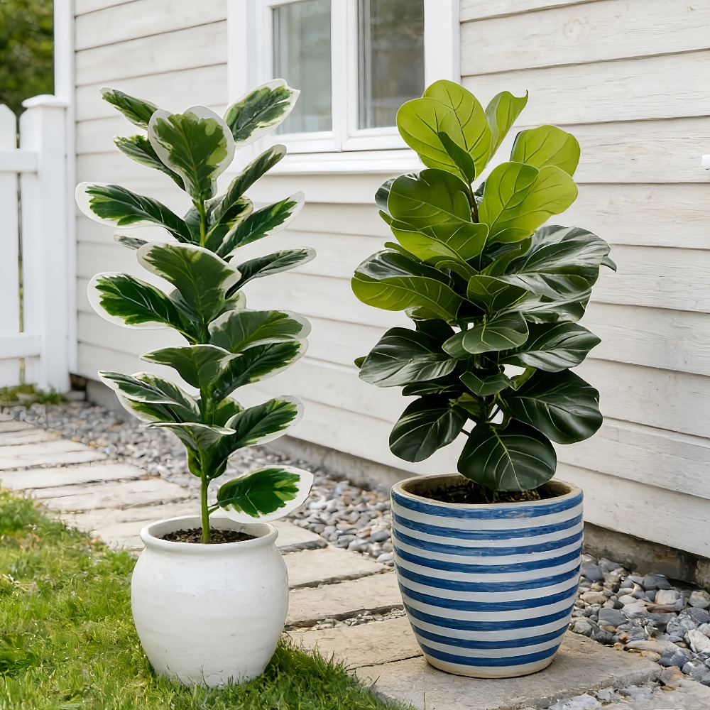 Outdoor Artificial Banyan Tree - Fiddle Leaf Fig review and price