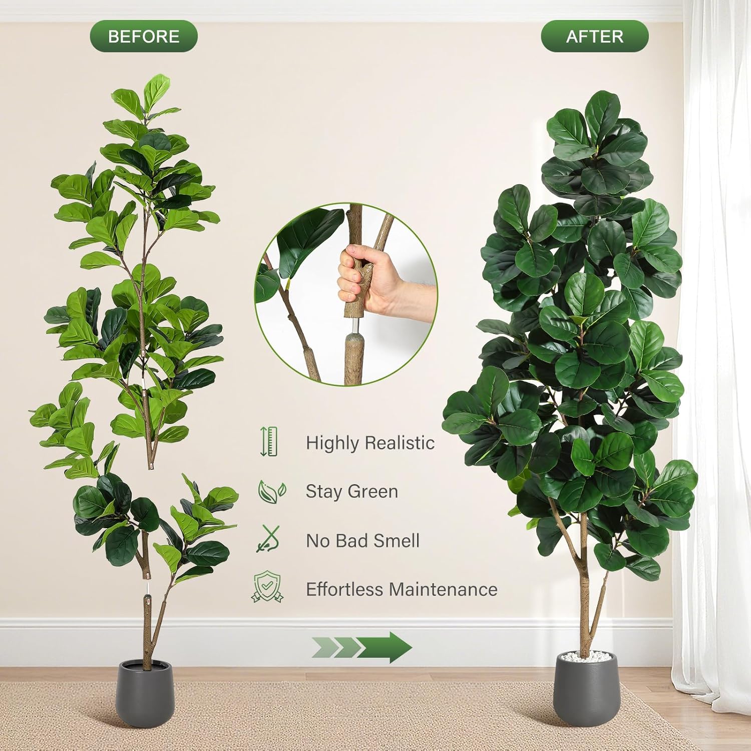 4FT/5FT/6FT/7FT Fiddle Leaf Fi - Fiddle Leaf Fig review and price