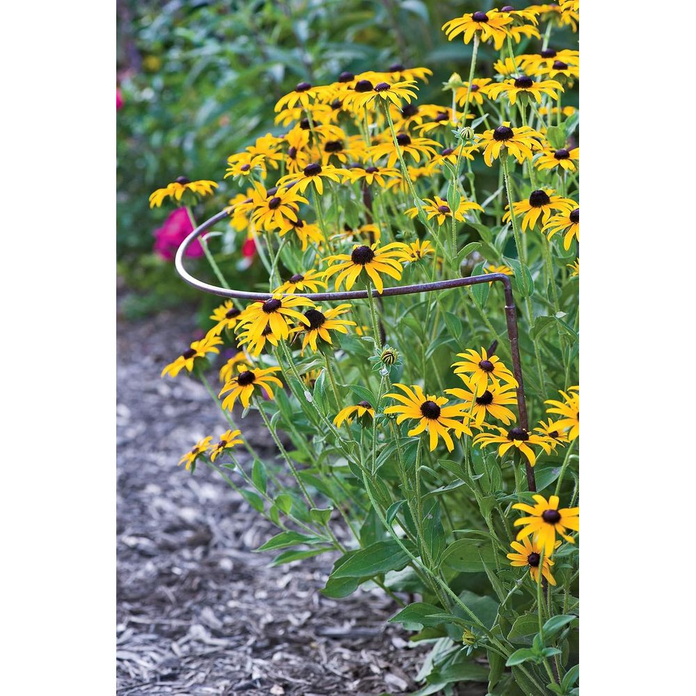 Metal Garden Plant Stakes | Du - Plants X review and price