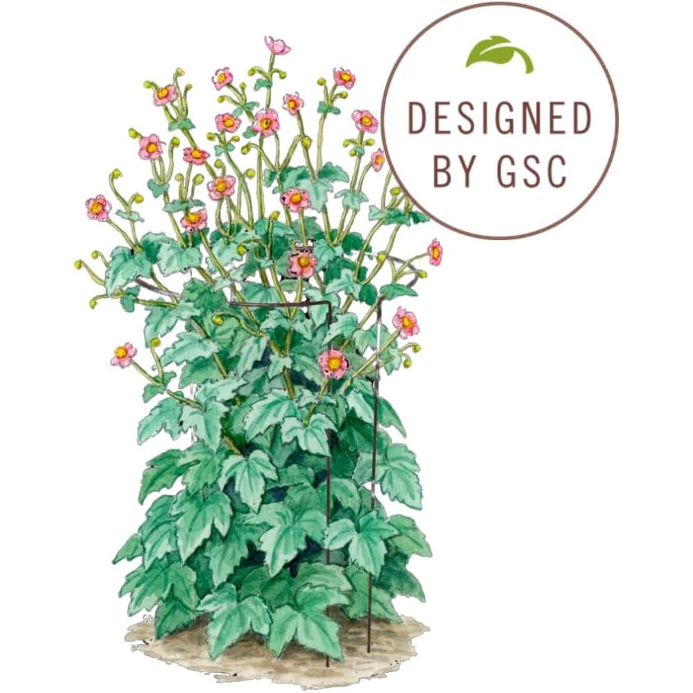 Metal Garden Plant Stakes | Du - Plants X review and price